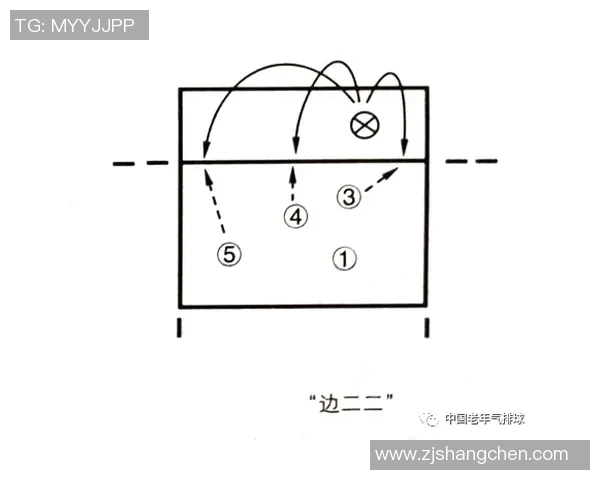成都排球队反击战术解析与未来发展展望