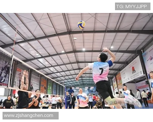 排球新手必看：提升耐力的全面入门攻略与训练技巧分享