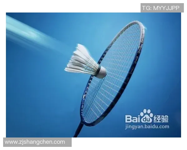 羽毛球新手必看：全面掌握入门技巧与状态调整指南
