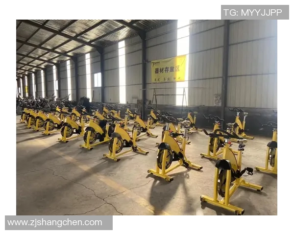 迈宝赫健身器材报价:高端健身器材价格与配置 迈宝赫健身器材报价:高端健身器材价格与配置