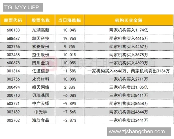 权威发布：2023年排球节奏实力榜单全面解析与前瞻