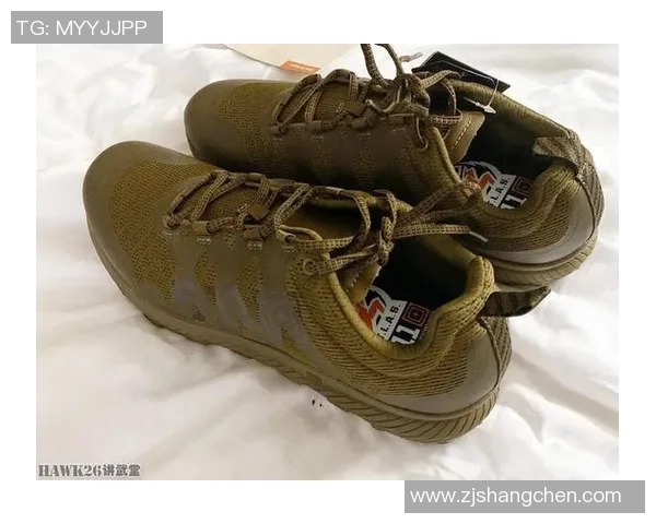 武汉飞盘队防反战术分析与比赛表现的深度探讨